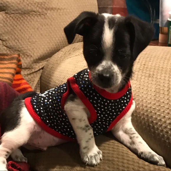 Like my post to stay up to date with New Items - Picture 7 of 8